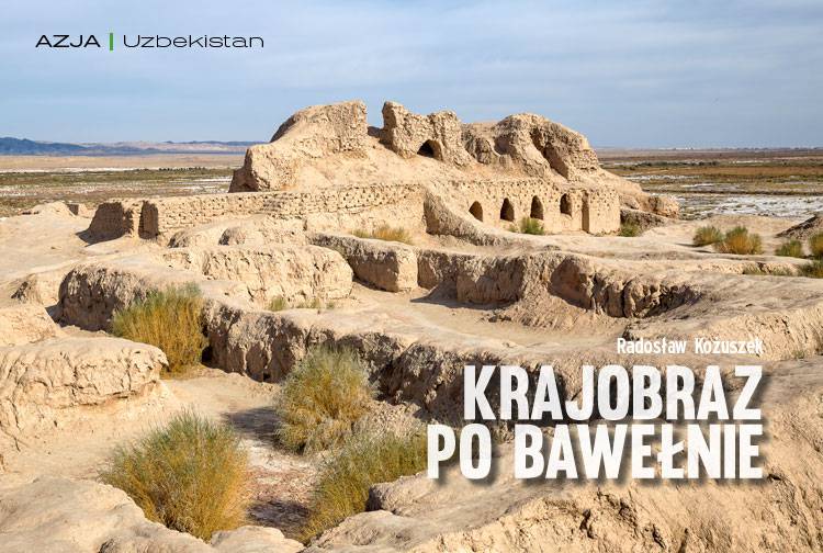 Losowy darmowy artykuł